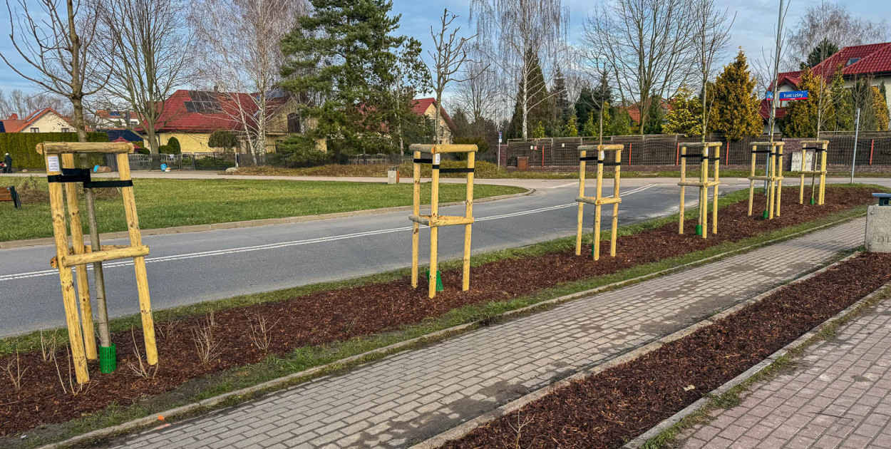 Zmiany na ulicy Kabackiej już trwają (SK)