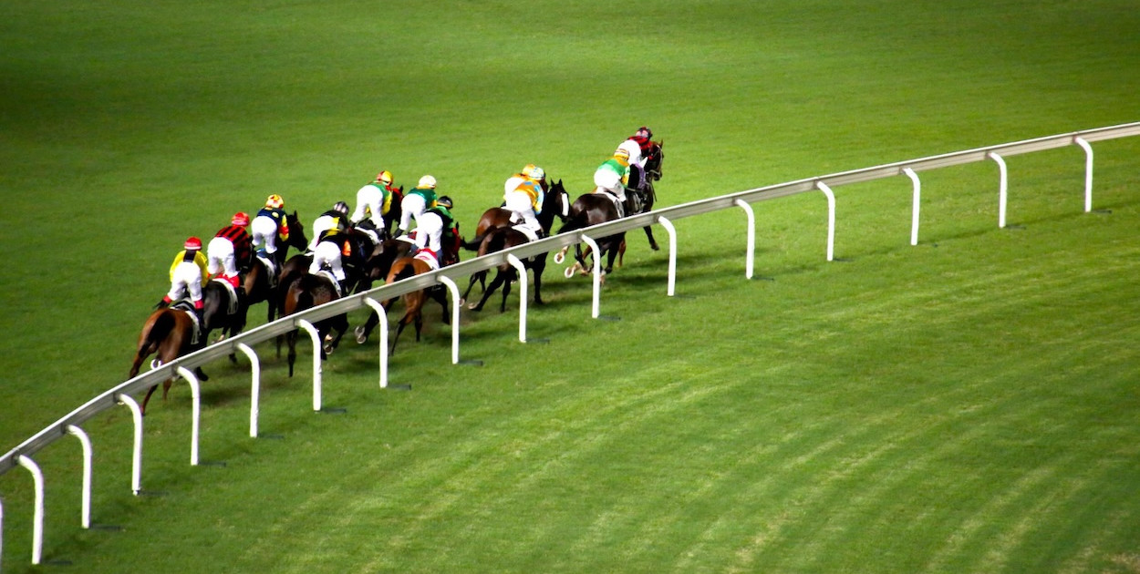 Koń uśpiony na Wyścigach. Jest śledztwo prokuratury