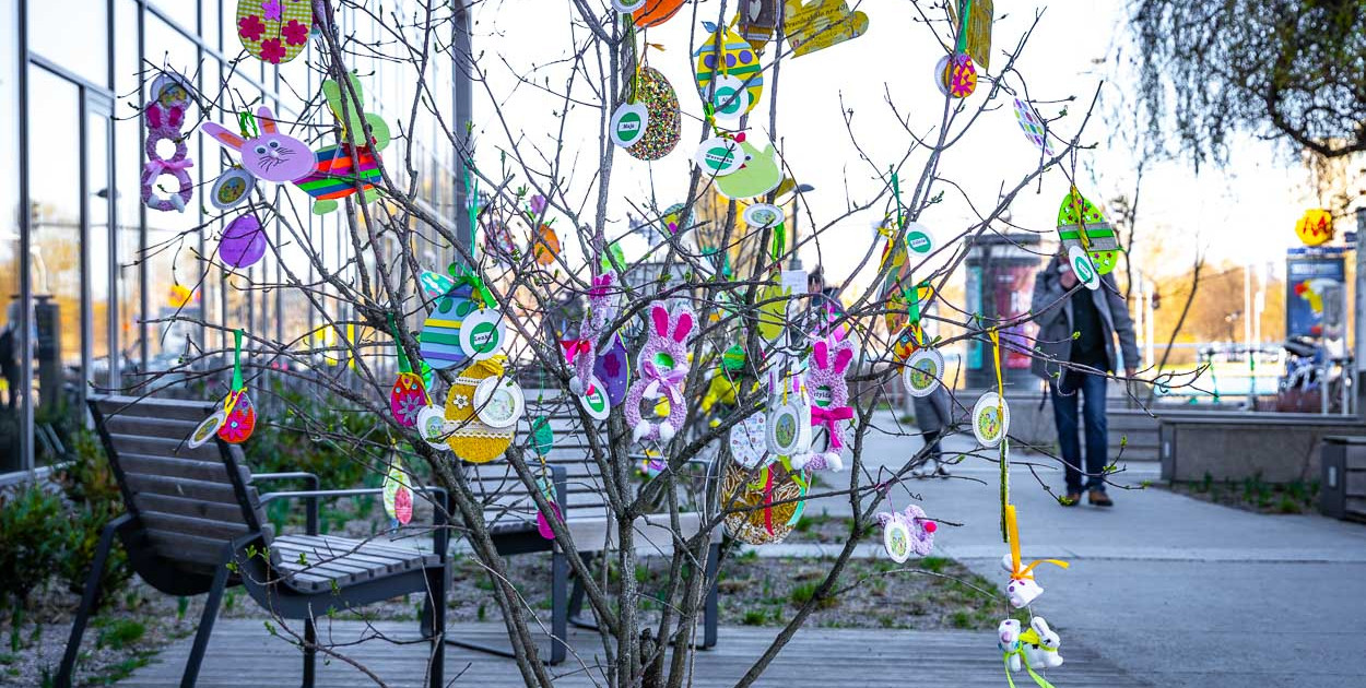 Ale kolorowo pod ratuszem! Na krzewach wyrosły zajączki i wielkanocne jaja