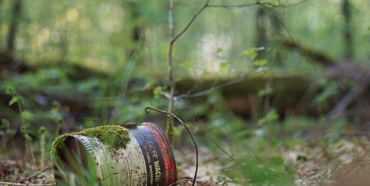 Już 25 kwietnia Rodzinna Akcja sprzątania Lasu Kabackiego